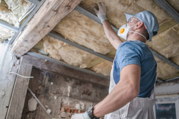 Best Insulation for New Construction  in Denison, TX