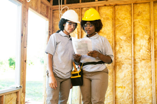 Best Insulation Replacement Services  in Denison, TX