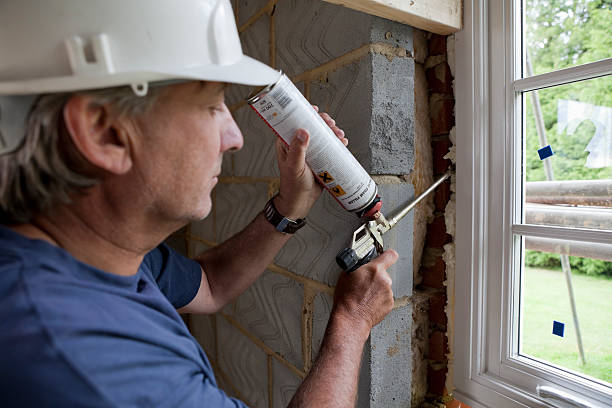 Best Best Insulation Companies  in Denison, TX