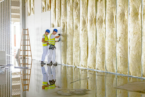 Best Attic Insulation Installation  in Denison, TX